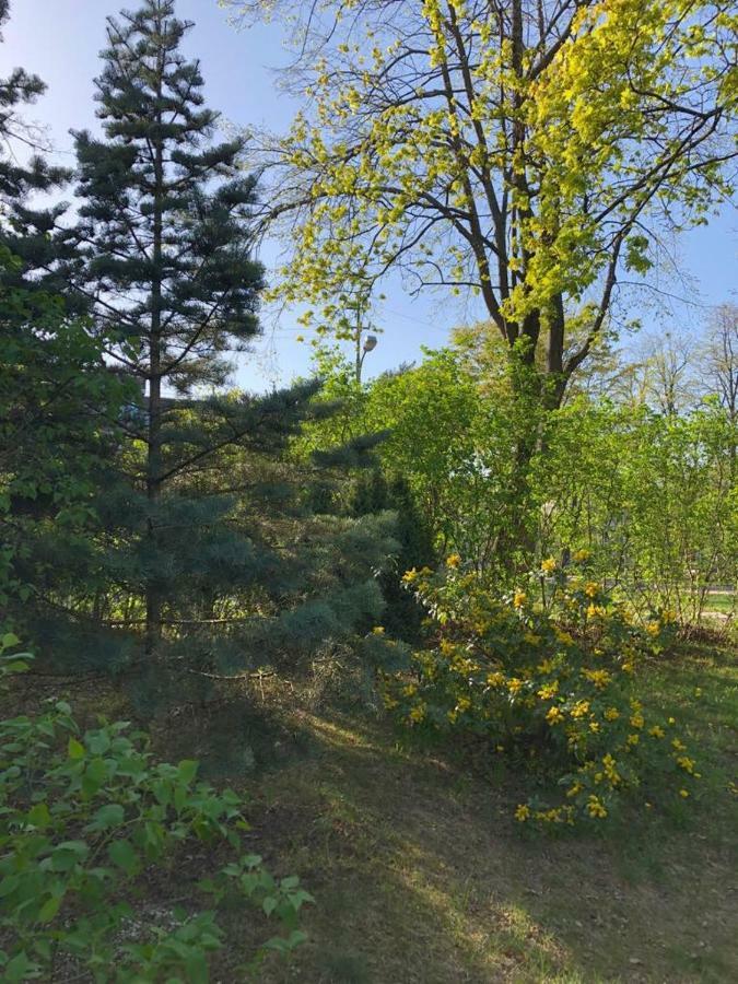 Vila Bohema Palanga - 4 Apartamentu Vila Kestucio G. 11 Hotel Luaran gambar